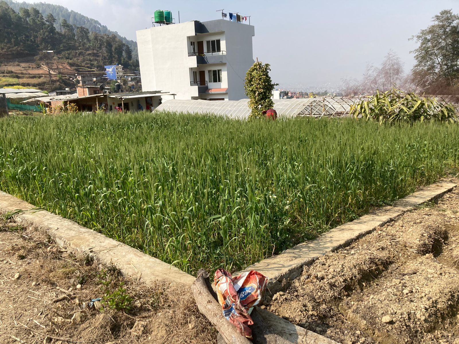 Picture of Mahalaxmi Municipality, Bagmati